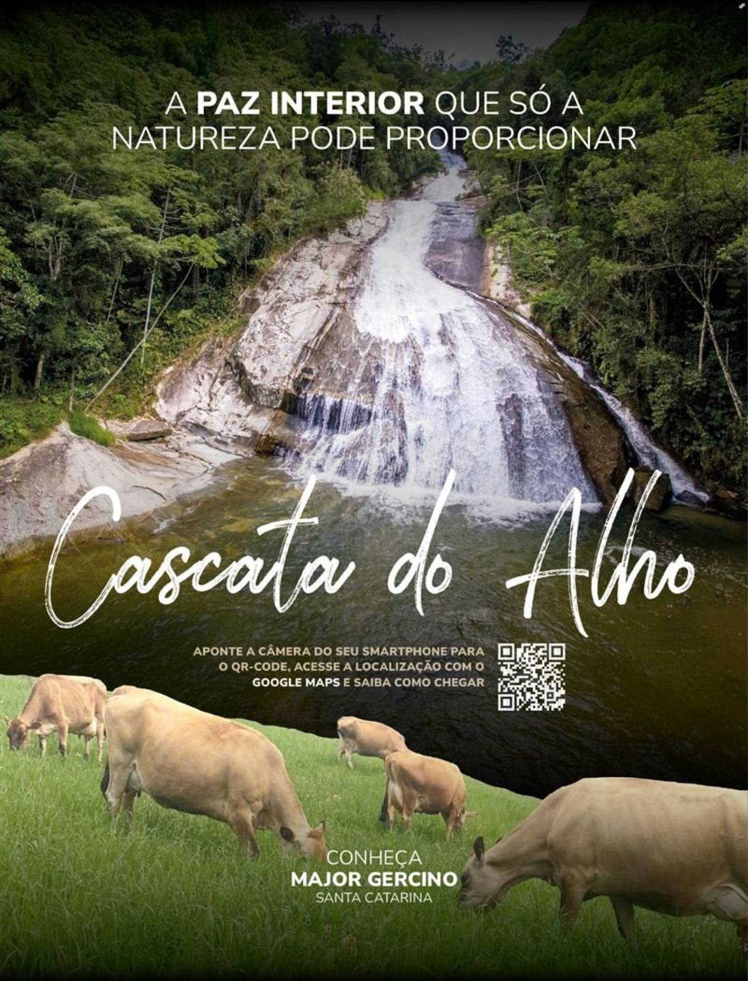 Queijo colonial, vinho de família e cachoeira: o turismo rural que movimenta Major Gercino